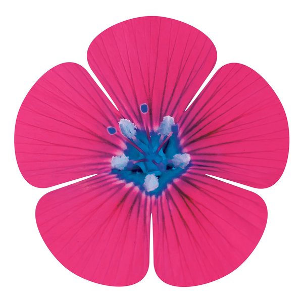 Next Innovations Pink 5 Petal Flower Wall Art 101410045-PINK